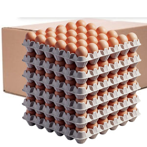 Caja de huevos 360 Unidades